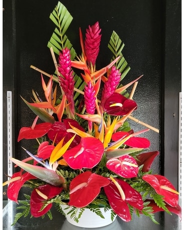 MTF1225 Tropical A Frame Arrangement Flower Arrangement