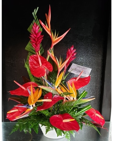MTF1234 Tropical Arrangement Flower Arrangement
