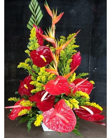 MTF1235 Tropical Arrangement with Solidaster Flower Arrangement