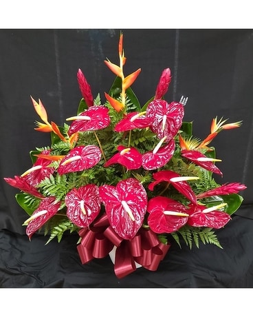 MTF653 Tropical Fan Style Arrangement Flower Arrangement