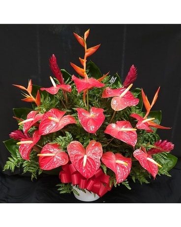 MTF654 Tropical Fan Style Arrangement Flower Arrangement
