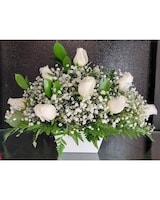 1 Dozen Red size,  inches height and  inches wide.