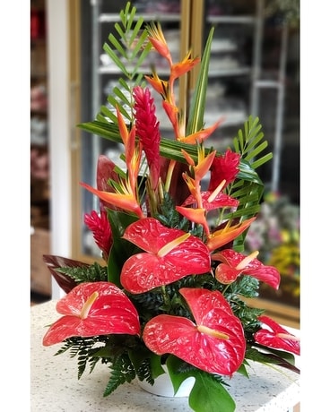 MTF1216 Tropical Arrangement Flower Arrangement