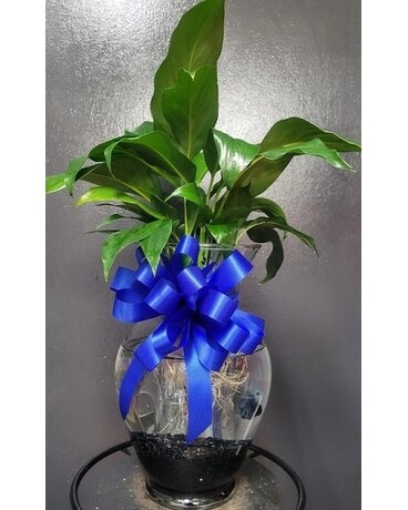 cutting flower seeds Cut Flower Mix Untreated Flower Seeds main image 1