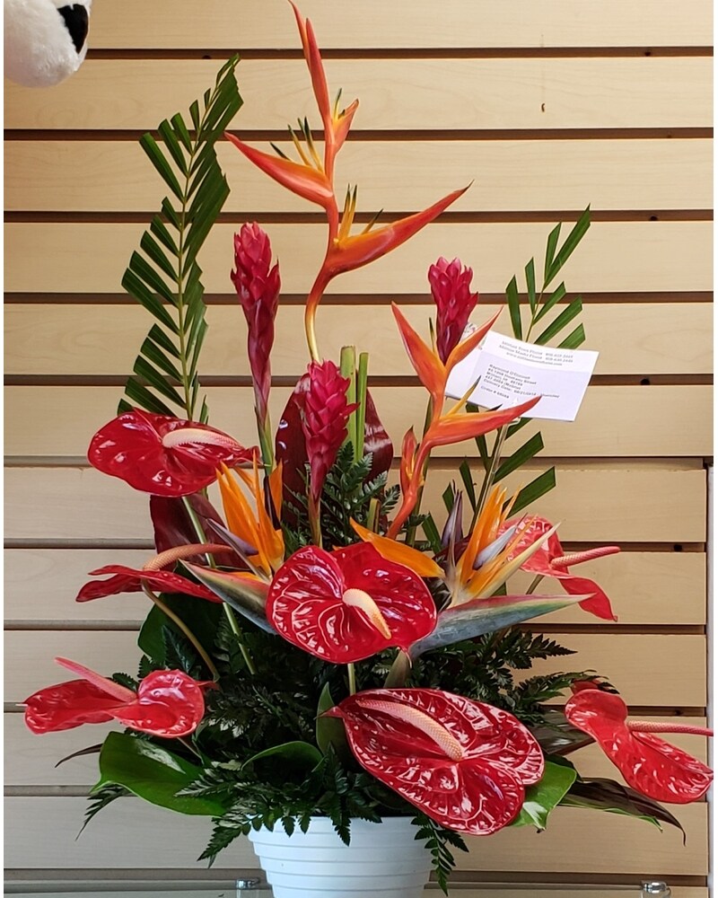 MTF1202 Tropical Arrangement in Mililani Town HI - Mililani Town