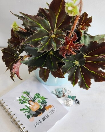 Plant Lover Gifts