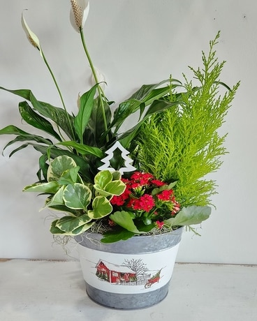 Christmas at the Farm Plant