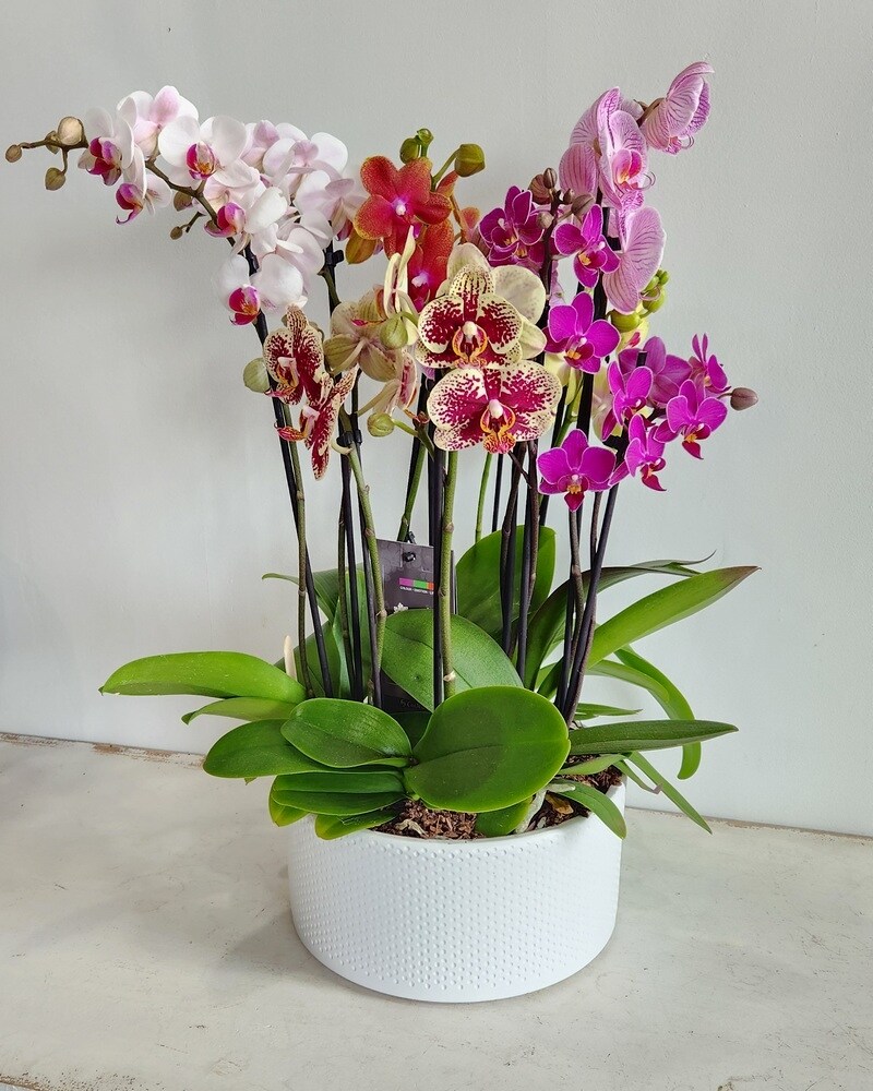 Flowerさまオーダーページです Just Because Flowers Delivery Orangeville ON - Orangeville Flowers