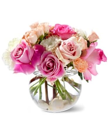 Teleflora's Roses on the Rocks Flower Arrangement