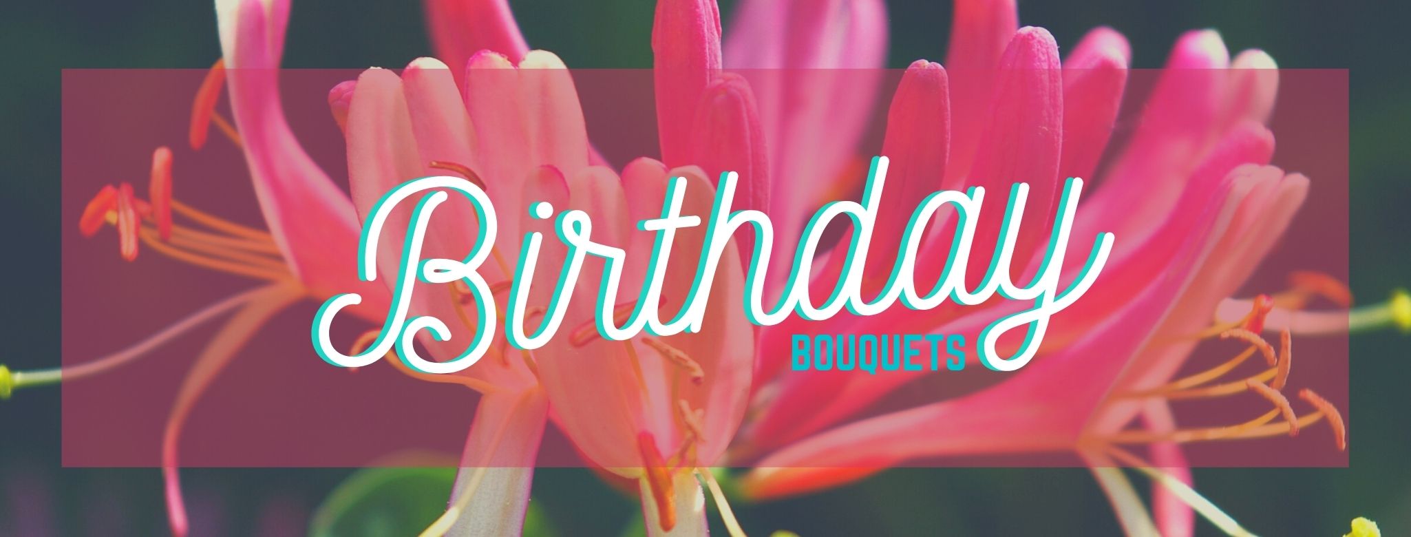 Moles Flowers Norristown PA Florist Flower delivery to King of