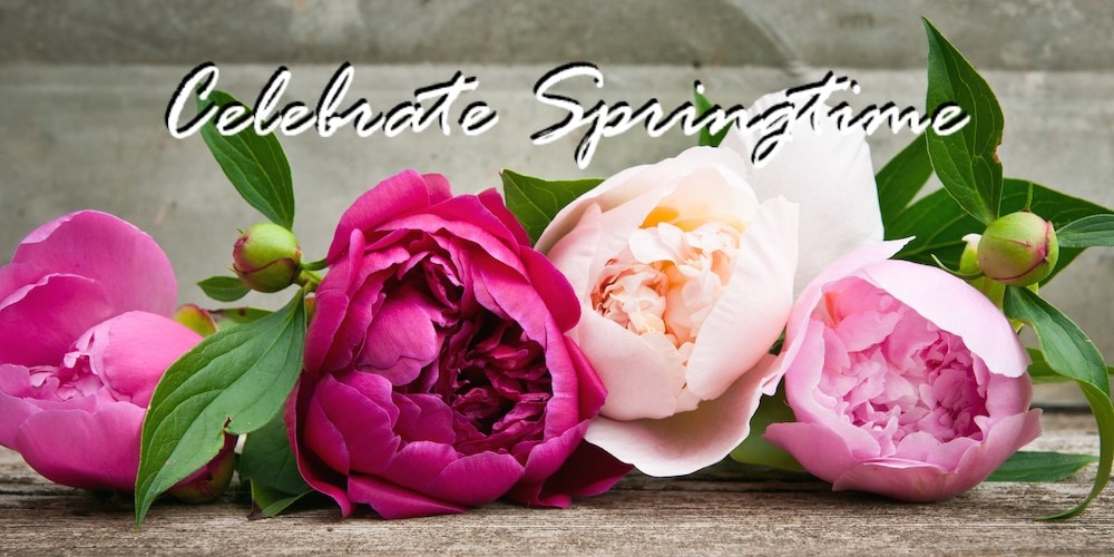 Moles Flowers Norristown PA Florist Flower delivery to King of