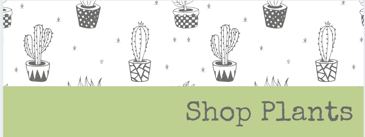 Moles Flowers Norristown PA Florist Flower delivery to King of