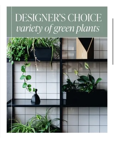 Designer's Choice Plant
