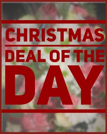 Christmas Deal of the Day Flower Arrangement