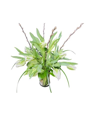 White Parrot Tulips with Willow Flower Arrangement