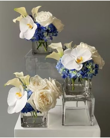 Blue and White Hydrangea with Phalaenopsis Orchids in Chattanooga