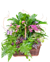 Custom Garden size,  inches height and  inches wide.