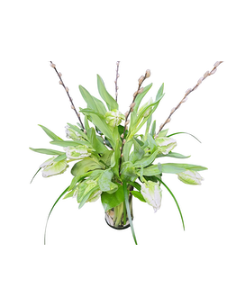White Parrot Tulips with Willow Flower Arrangement