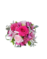 Shades of Pink size,  inches height and  inches wide.