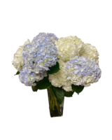 Heavenly Hydrangeas in Chattanooga TN - Flowers By Gil & Curt