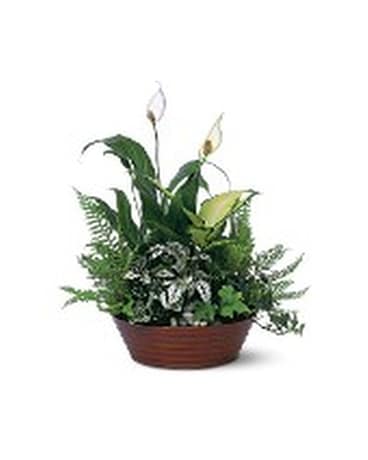 White Garden Flower Arrangement