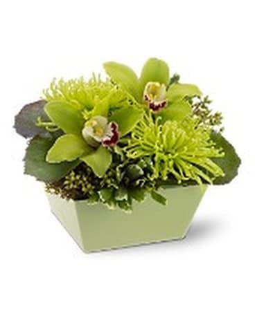 Go Green Flower Arrangement