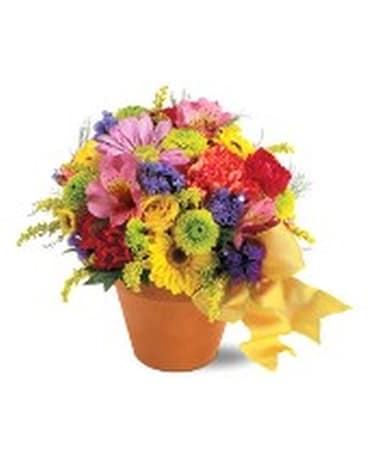 Teleflora's Fresh Blossom Potpourri Flower Arrangement