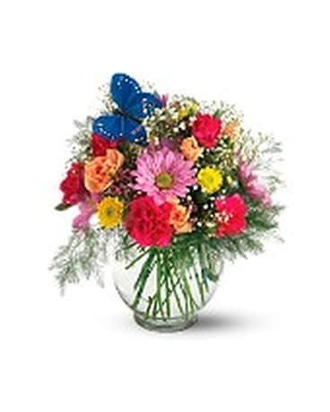 Teleflora's Butterfly & Blossoms Vase Flower Arrangement