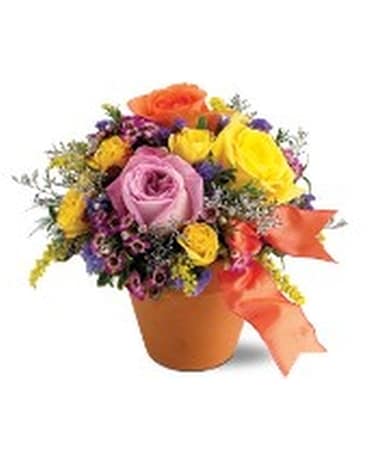 Teleflora's Sweet 'n Simple Flower Arrangement