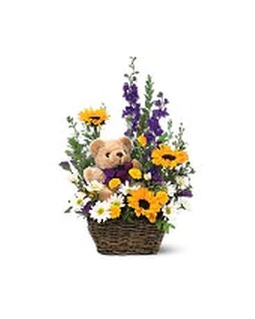 Basket & Bear Arrangement Flower Arrangement