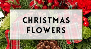 Flower Delivery to Madison by George's Flowers, Inc.