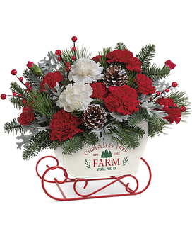 Christmas Tree Farm Sleigh Flower Arrangement