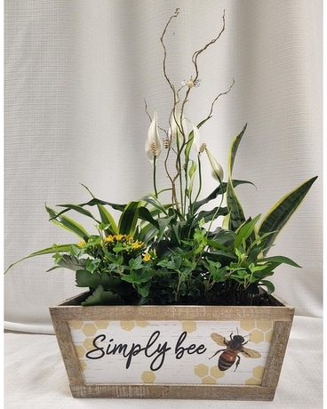 Bee Kind To Mom Dish Garden Dish Garden Plant