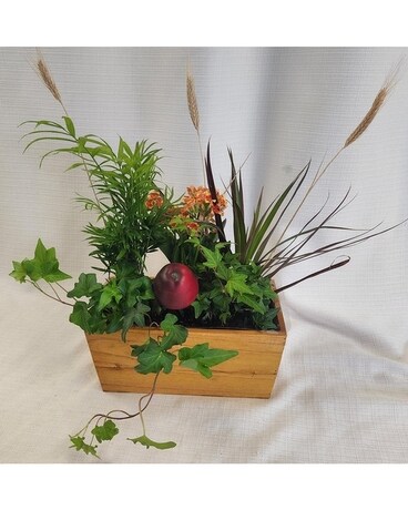 Fall Harvest Dish Garden Dish Garden Plant