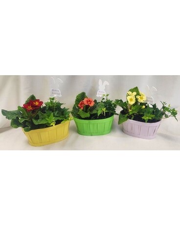 Happy Easter Dish Garden Dish Garden Plant