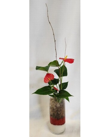 Anthuriums In Glass Plant