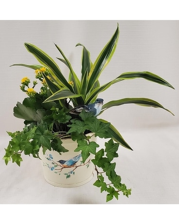 Bluebirds In Spring Dish Garden Plant