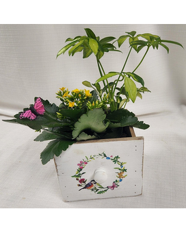Standard size, 11 inches height and 10 inches wide.