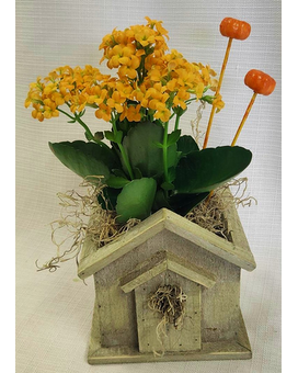 Standard size, 12 inches height and 6 inches wide.