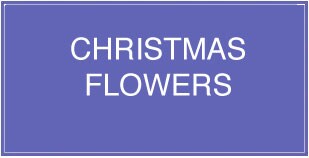 Christmas Flowers