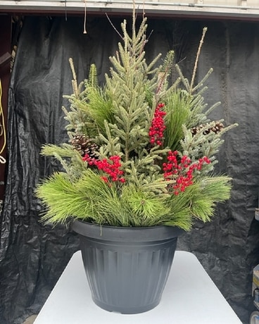 Festive Holiday Decorative Pot Flower Arrangement