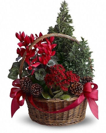 Tannenbaum Basket Flower Arrangement