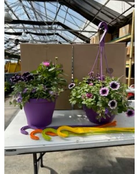 2 - 10-12 inch Planter and Basket in White Bear Lake MN - White Bear Floral  Shop & Greenhouse