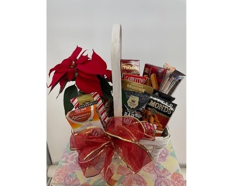 Poinsettia and Gourmet Basket Plant