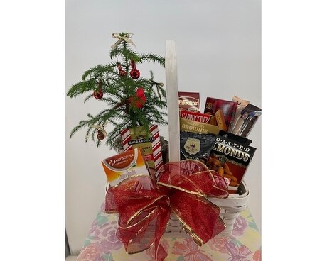 Norfolk Pine & Gourmet Basket Plant