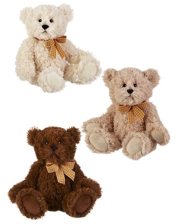 Murdoch Bears