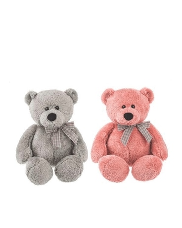 Standard size,  inches height and  inches wide.