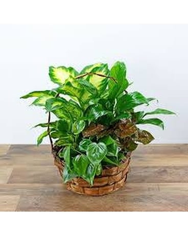 Wicker Basket Planters Flower Arrangement