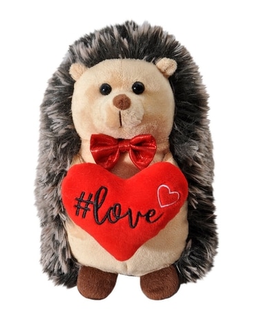 Hedgehog with red heart Flower Arrangement