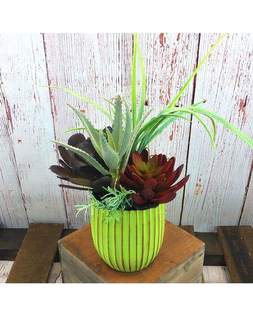Faux Succulent Garden #10 Custom product